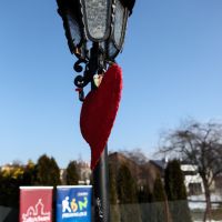20170211_02.jpg