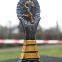 Statuetka dla szkół